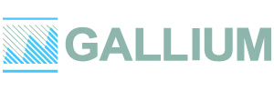 Logo Item