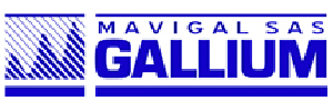 Logo Item